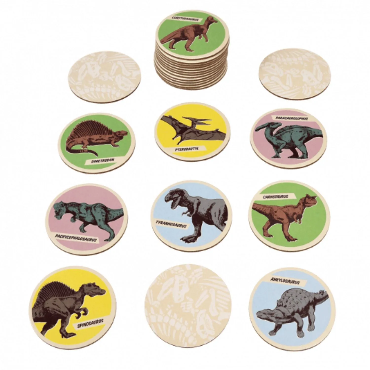 Prehistoric Land Memory Game (24 Pieces)
